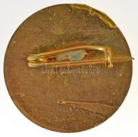 ~1960-1970. "Kiváló Egészségőr" festett, aranyozott fém jelvény (24mm) T:1-,2