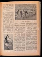 1960 A Labdarúgás képes folyóirat teljes évfolyama (1-12. szám) könyvbe kötve (amikor még világelsők...