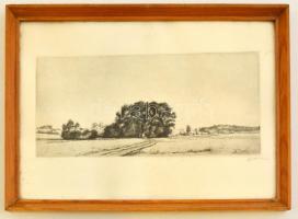 Boldizsár István (1897-1984): Föld út. Rézkarc, papír, jelzett, üvegezett keretben, 13×29 cm