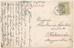 Balatonszemes, Balaton parti villa, Hableány szálloda + "BUDAPEST-PRAGERHOF 8" mozgóposta ...