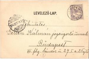 1900 Győr, Baross út, Magyary József, Kővári, Wollner Miksa, Schacherl József, Rőszler Károly üzlete...