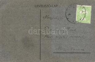 1915 Pálma major (Nagyszénás), Károlyi kúria, kastély. photo