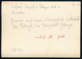 cca 1910 Retyezát, zergék a Pelaga alatt a hómezőn, Erdélyi Mór felvétele, hátulján feliratozva, pec...