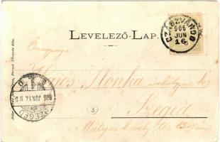 Vajdahunyad, Hunedoara; Fő tér, piac árusokkal / main square, market with vendors