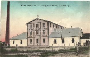 Bihardiószeg, Diosig; Weisz Jakab és Fia gőzhengerműmalom / steam mill (EK)