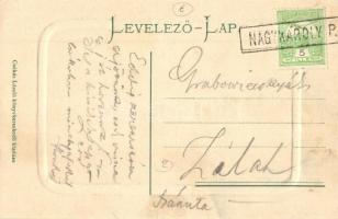 Nagykároly, Carei; Gróf Károlyi kastély és park. Csókás László kiadása / castle, park + vasúti pecsé...