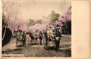 Tokyo, Akasaka, cherry blossom with rickshaws (EK)
