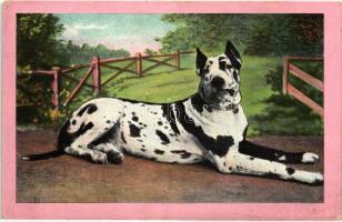 3 db VEGYES kutya motívumlap / 3 mixed dog motive postcards