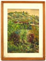 Fáy jelzéssel: Dobos táj házakkal. Akvarell, papír, kis szakadással, üvegezett keretben, 43×31 cm