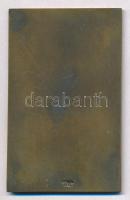 1943. "A Horthy csúcson állított kereszt munkatúrájának emlékére" Br plakett, hátoldalon &...