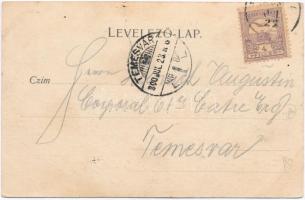 Anina, Stájerlakanina, Steierdorf; vasgyár / iron works, factory  (fl)