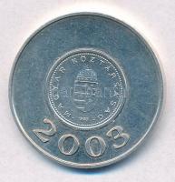2008. 2003 / 2008 ezüstözött fém emlékérem, mindkét oldalon az 1Ft-os érme hátlapjával (22mm) T:1-