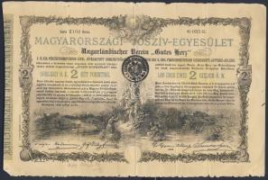 1888. "Magyarországi Jószív Egyesület" sorsjegye 2Ft-ról két klf színben, az egyik bélyegz...