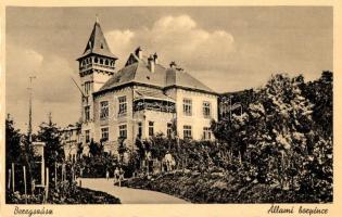 37 db VEGYES magyar és kárpátaljai városképes lap 2 emlékborítékkal / 37 mixed Hungarian and Transca...