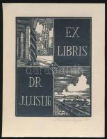 Antonin Dolezal (?-?): Ex libris Szeged. Dr. J. Lustig. Fametszet, papír, jelzett, 12x9 cm