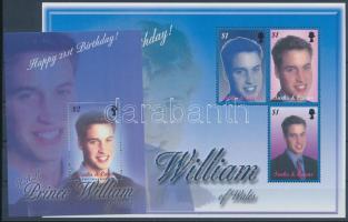 Vilmos herceg 21. születésnapja kisív + blokk, 21st birthday of Prince William minisheet + block