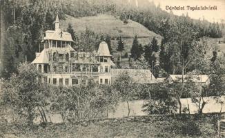 Topánfalva, Campeni; Schlessel és Walter-féle kastély / castle villa