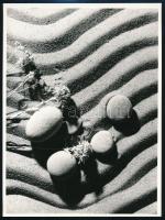 cca 1978 A kortárs magyar fotóművészet avantgarde korszakából 4 db vintage fotó, három jelzett, 23x1...