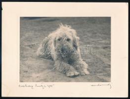 cca 1931 Orphanidesz János (1876-1939) fotóművésztől 4 db aláírt, vintage fotóművészeti alkotás, 18x...