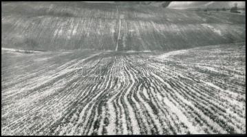 cca 1973 Zsigri Oszkár (1933-?) budapesti fotóművész hagyatékából 3 db vintage fotó, egy pecséttel j...