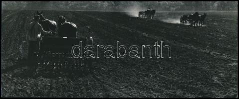 cca 1973 Zsigri Oszkár (1933-?) budapesti fotóművész hagyatékából 3 db vintage fotó, egy pecséttel j...