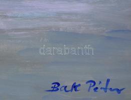 Bak Péter Róbert (1950-): Alkonyat a Balatonon. Akril, farost, jelzett, keretben, 50×50 cm