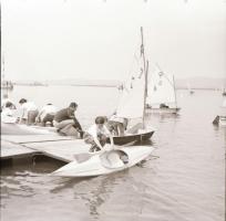 cca 1965 Sinka Antal (?-?) hagyatékából (aki a velencei AGROKOMPLEX fotósa volt az 1960-as, 1970-es ...