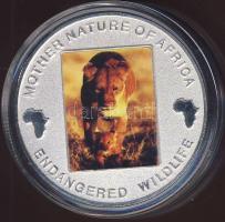 Malawi 2004. 10K Ag multicolor "Veszélyeztetett állatvilág - oroszlán" T:PP
