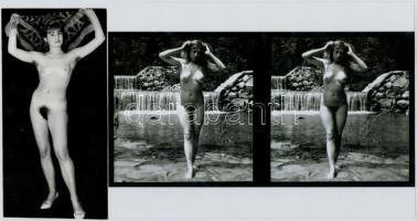 cca 1975 Szolid hölgyek bevállalós fényképei, 6 db szolidan erotikus fotó, négy vintage, kettő mai n...
