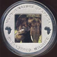 Malawi 2004. 10K Ag multicolor "Veszélyeztetett állatvilág - elefánt" T:PP