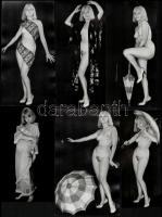 cca 1970 Nagymama és unokája leánykori fényképei, 8 db szolidan erotikus fotó, hét vintage, egy mai nagyítás, 25x18 cm és 18x7,5 cm között