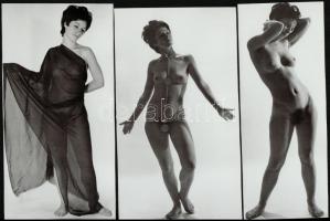 cca 1973 Önkéntes vetkőző, 6 db szolidan erotikus vintage fotó, 18x7 cm és 18x11 cm között