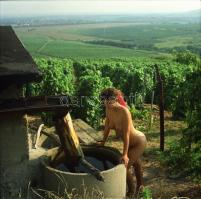 cca 1983 Szüret előtti hangulat, szolidan erotikus felvételek, 9 db vintage negatív Menesdorfer Lajo...