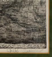 Szabó Vladimír (1905-1991): Visegrád. Rézkarc, papír, jelzett, üvegezett keretben, 29×39 cm