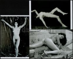 cca 1989 Női napozó, szolidan erotikus fényképek, 7 db mai nagyítás, 25x18 cm és 15x10 cm