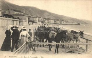Menton, Les Anes de Promeande / Donkeys on the Promenade on the beach
