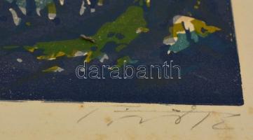 Török Endre (1926-1980): Balaton. Színes linó, papír, jelzett, foltos, 28×39 cm