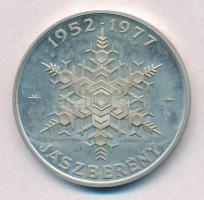 1977. "25 éves a hűtőgépgyár / 1952-1977 Jászberény" peremén jelzett Ag emlékérem (42,9g/0...