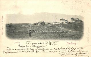 1899 Gaisberg, Plateau