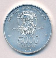 2006. 5000Ft Ag "Munkácsi vár" T:BU 
Adamo EM202