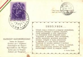 Erdélyben... Igazságot Magyarországnak! / Hungarian irredenta '1938 Beregszász visszatért" So. Stpl  (EK)