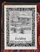 Pór Antal: Nagy Lajos. I-II. kötet. (Egyben.) Magyar Történeti Életrajzok. Szerk.: Szilágyi Sándor. ...