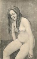 Erotic nude lady. Künstler Akt-Studie (non PC) (EK)