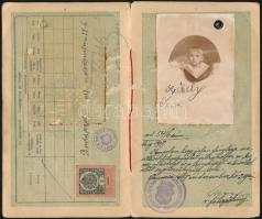 1917 Pancsova, Gyermek részére kiállított fényképes útlevél, sok bejegyzéssel / passport