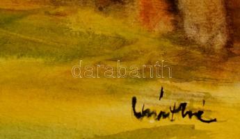 Máthé jelzéssel: Székely falu, akvarell, papír, 35×50 cm