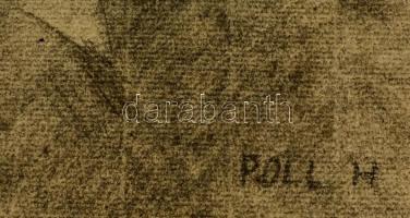 Poll jelzéssel: Fiú portré. Szén, papír, foltos, 39×27 cm