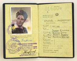 1949 Magyar köztársaság fényképes útlevele, 2 db 15 ft. illetékbélyeggel, csehszlovák és lengyel bej...