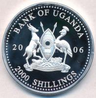 Uganda 2006. 2000Sh Ag "A labdarúgás halhatatlanjainak csarnoka - Franciaország 1980-as évek / ...