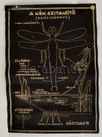 1939 Iskolai szemléltető plakát, a folyami rák és a kék szitakötő bemutatása, kiadja: Szabó Gyula Ci...