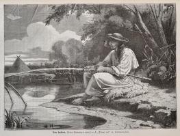 Magyarország képekben. Honismertető folyóirat. I-II. kötet. Szerk.: Nagy Miklós. Pest,1870, (1867-18...